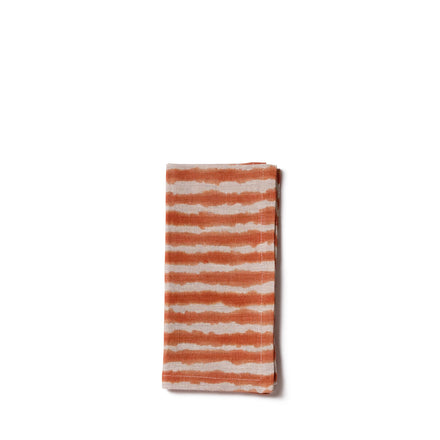 Napkin in Desert