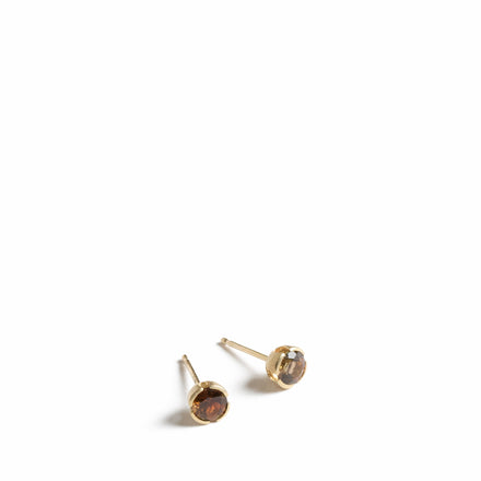 Eva Post Earrings