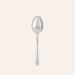 Modern America Serving Spoon