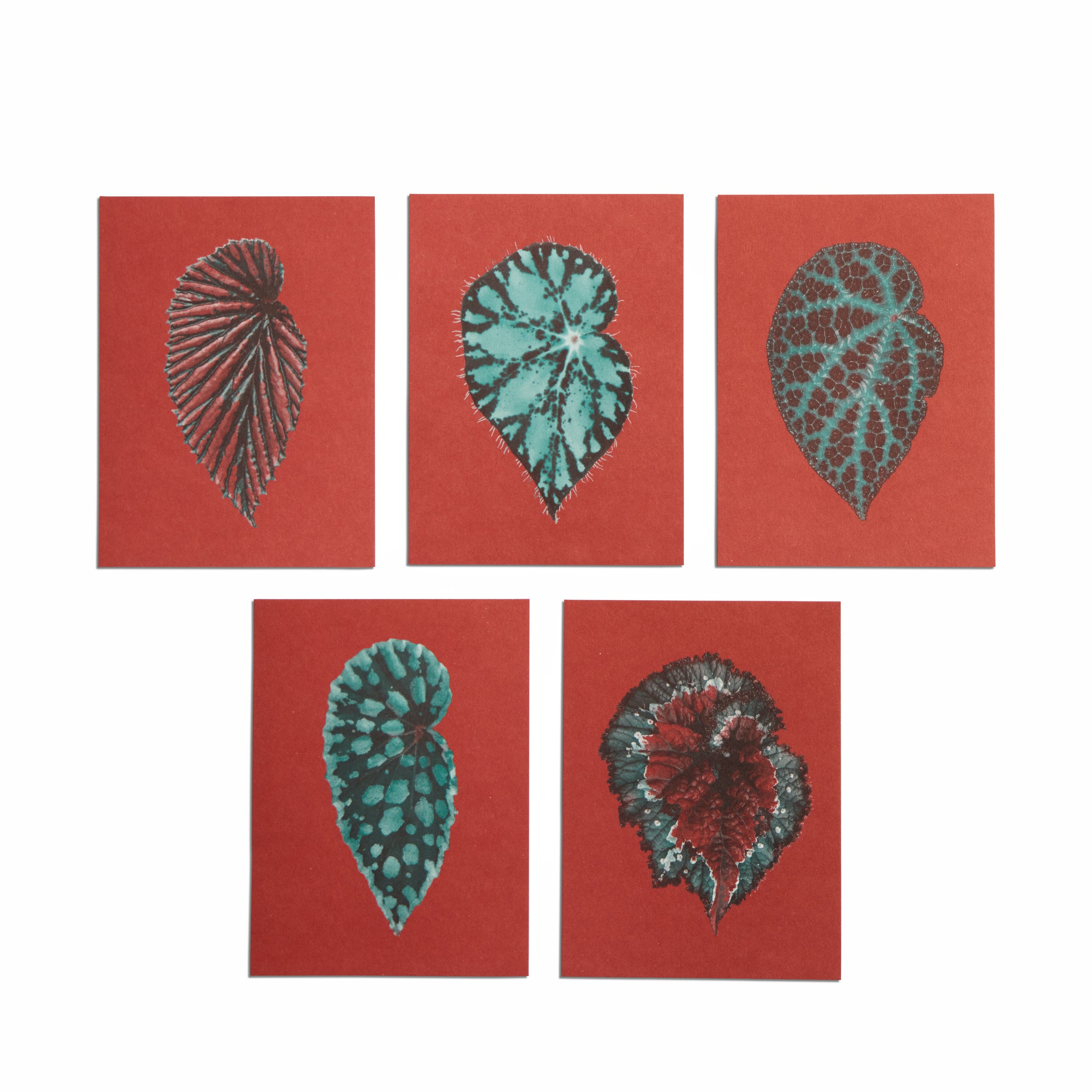 No. 12 Leaves of Friendship Small Print Set Zoom Image 1