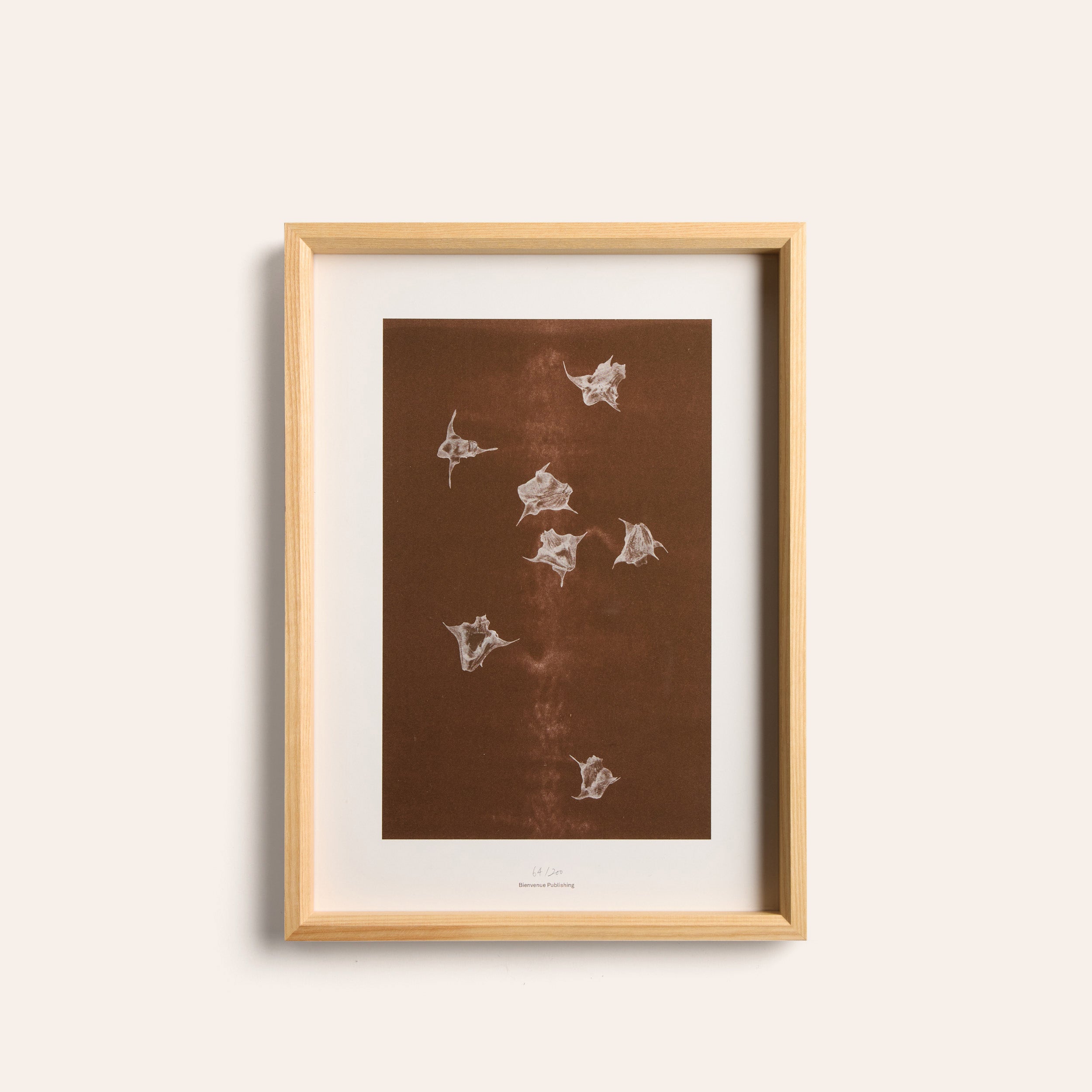 Origins No 5 Limited Print