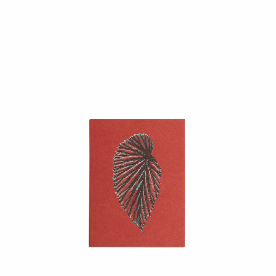 No. 12 Leaves of Friendship Small Print Set Image 2