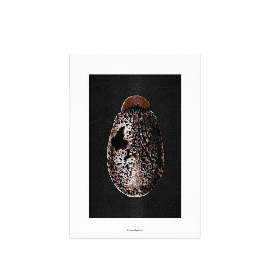 Origins No 3 Limited Print Image 1