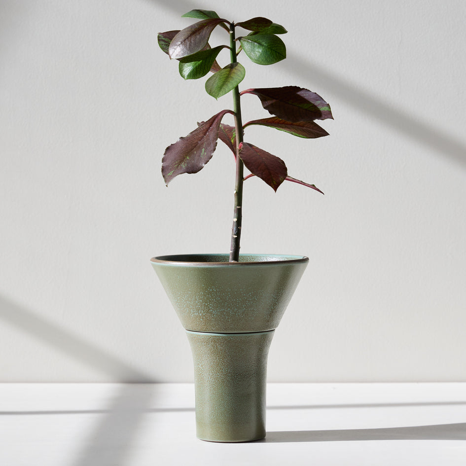 Form 02 Image 1