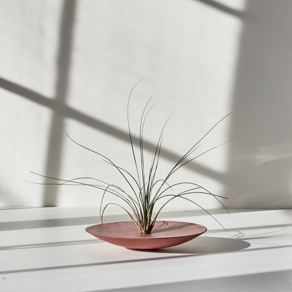 Form 01 Image 1