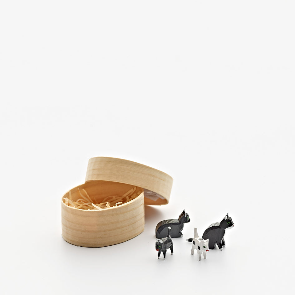 Cat Family in Box Image 1