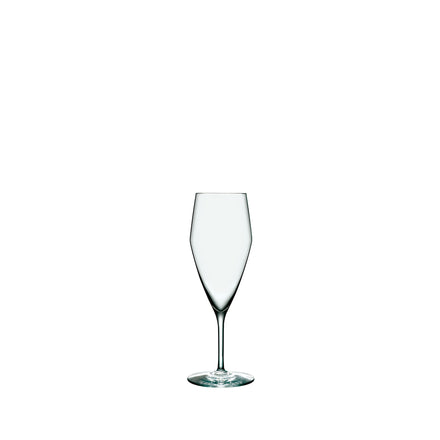 Perfection Champagne Glass (Set of 6)