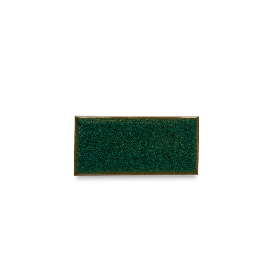 G129 Sample in Reef Image 2
